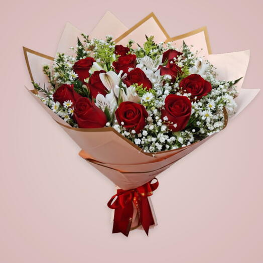 Alsto красный