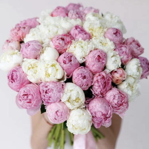 Princess Peony: XL Bouquet of 50 Peonies