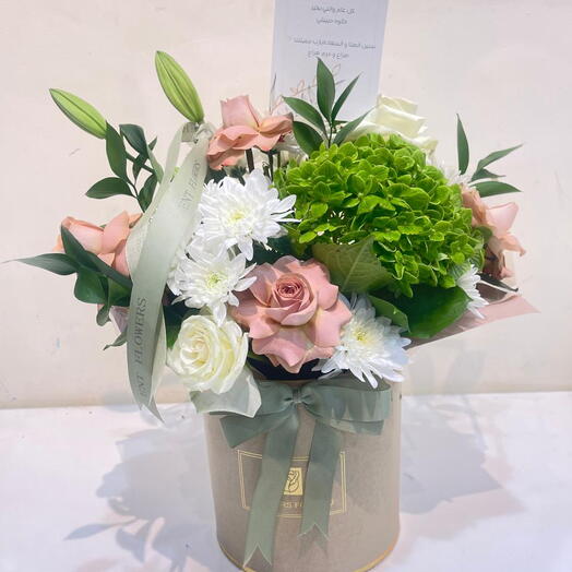 ورود في صندوق11