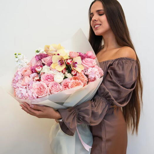 Blush Orchid Symphony