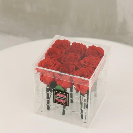 VAL018 Элизабет l