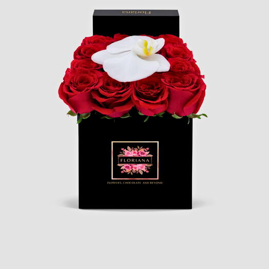 Красная роза в чёрном маленькая