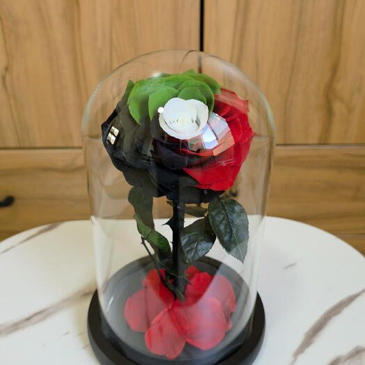 Стабилизированная роза цвета флага ОАЭ в стеклянном куполе – подарочный декор Forever Rose
