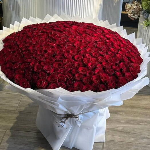 Букет из 350 красных роз