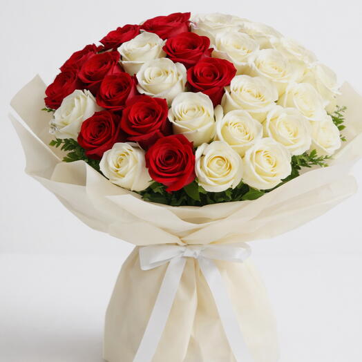 Pétalos Blancos y Rojos