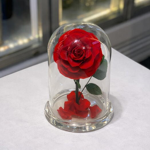 Premium Everlasting Red Rose Love