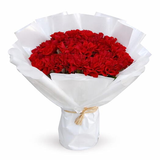 11 Red Roses white wrapper