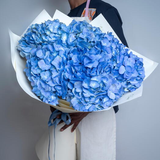 7 синих гортензий-6045