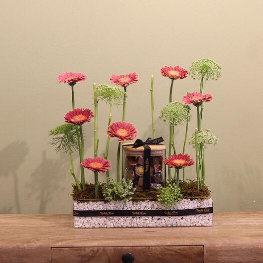 Нежный поднос с герберами