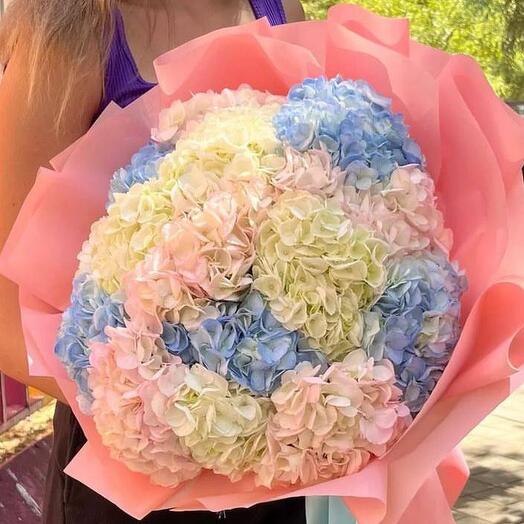 Hydrangea Mood