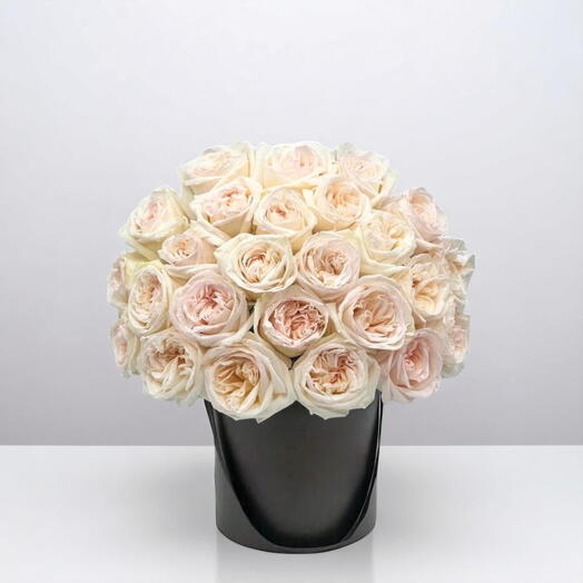 Coffret Murmures du Crépuscule