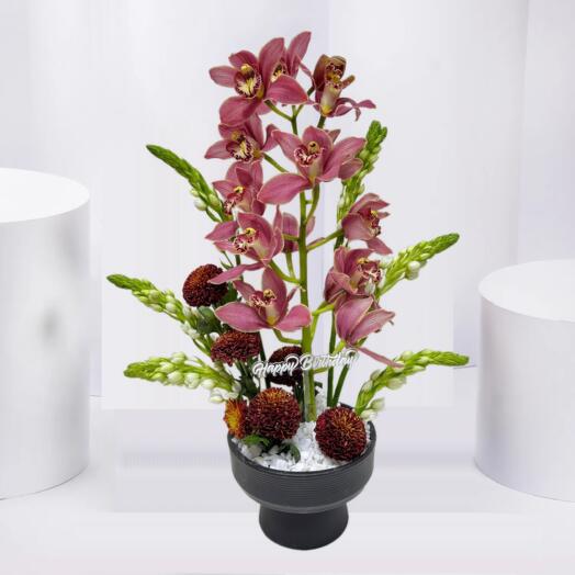 Orchid Birthday Elegance
