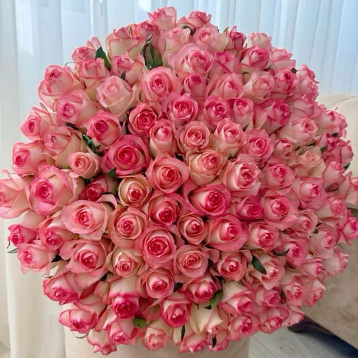 101 роза розовых и белых