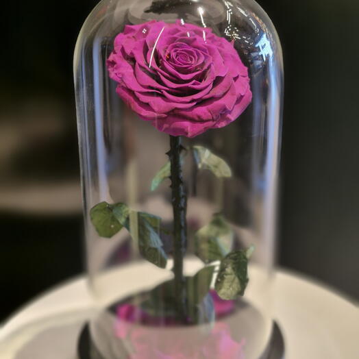 Стеклянный купол - ВЕЧНЫЕ РОЗЫ | ФИОЛЕТОВЫЙ (большой)