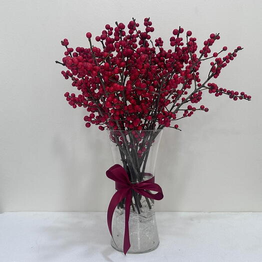 Baies rouges éclatantes