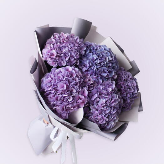 Purple sky:  stem purple hydrangea