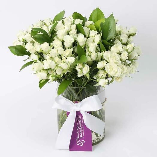 Мир 51 белая кустовая роза