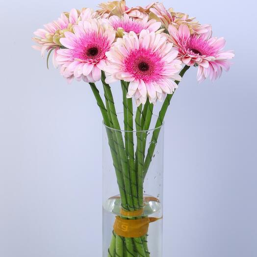 Pink Gerbera Vase -564