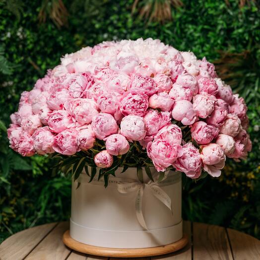 201 Arreglo de peonías en caja