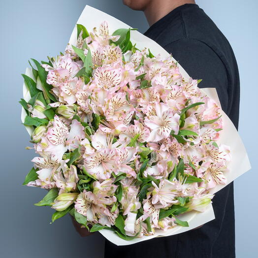 19 розовых альстромерий-6020