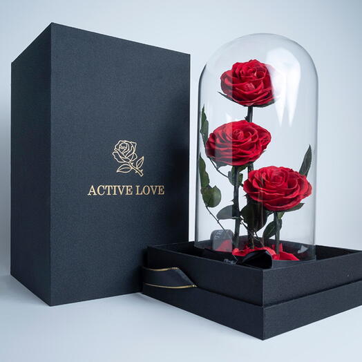 Red Infinity Roses-1062