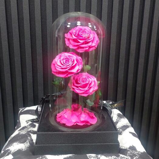 3 rosas eternas rosas