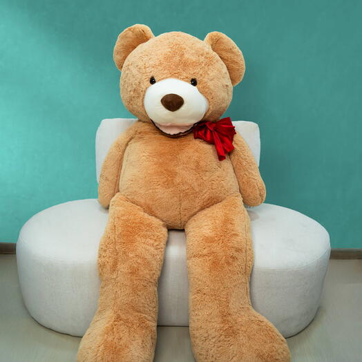 Osito de peluche (grande)