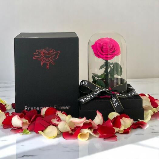 Сохранённая роза Forever Fuchsia в стеклянном куполе – долговечный подарок вечной розы