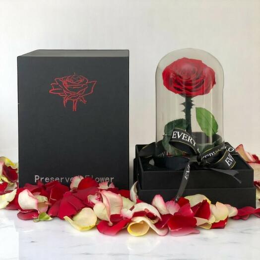 Forever Red Preserved Rose in Glass Dome – Eternal Love Gift with Premium Ecuadorian Rose