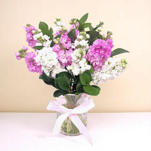 15 Pink And White Matthiola Vase