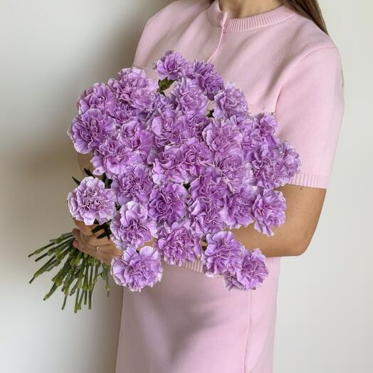 Lilac carnation (30 pcs)