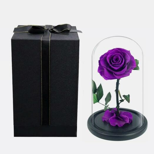 Purple Forever Rose