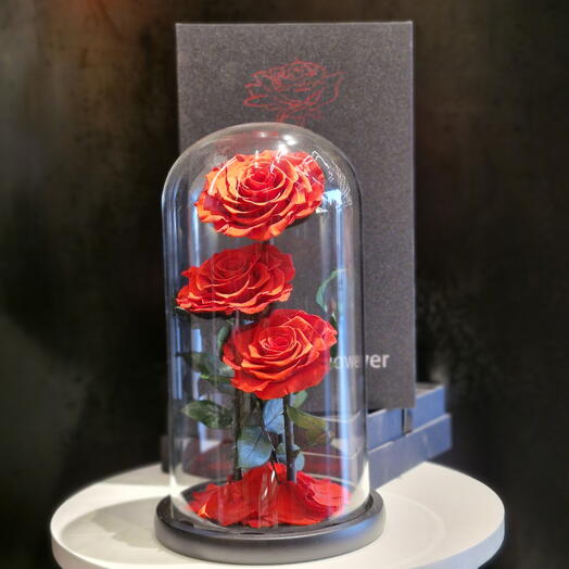 GLASS DOME- ETERNAL ROSES |  RED 3 red roses ( LARGE)
