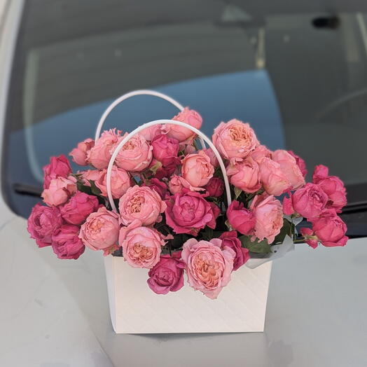 Julietta Mixed Box 1138