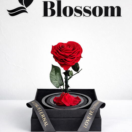 Preserved Forever Heart shape Red Rose