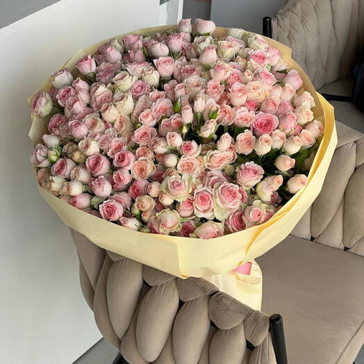 Sterling Rose Garden