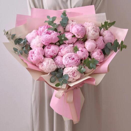 Pink Peony Sarah Bernhardt -548