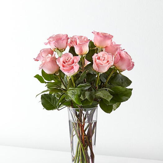 P   Pink rose in vase
