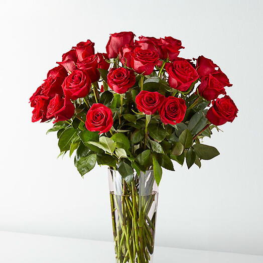 RRed roses in Vase