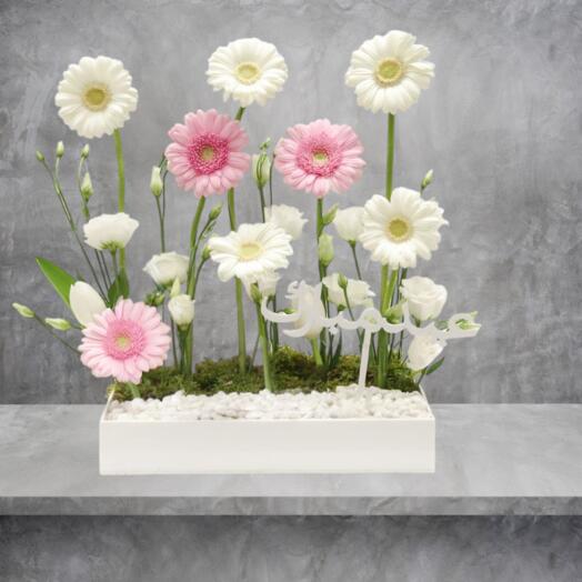 Daisies Dream Floral Premium Arrangement