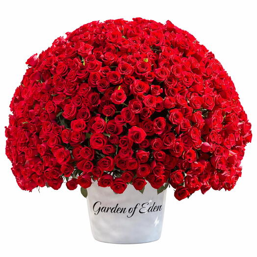 Grand Valentine 501 Red Roses Box