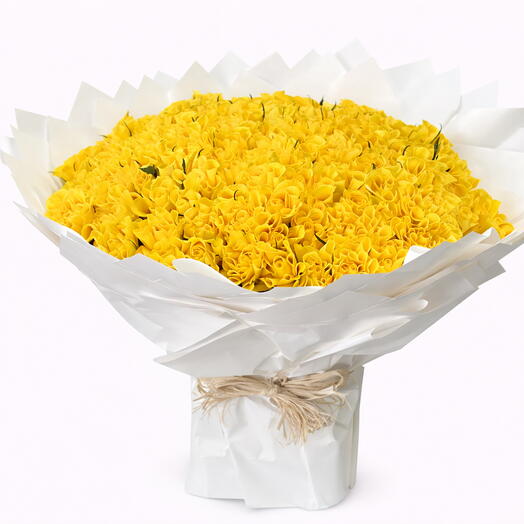 Brighten Days with Yellow Roses