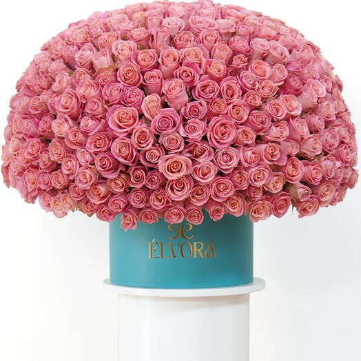 РОЗОВЫЕ РОЗЫ НЕЖНО-РОЗОВЫЕ КОРОНА КУПОЛ