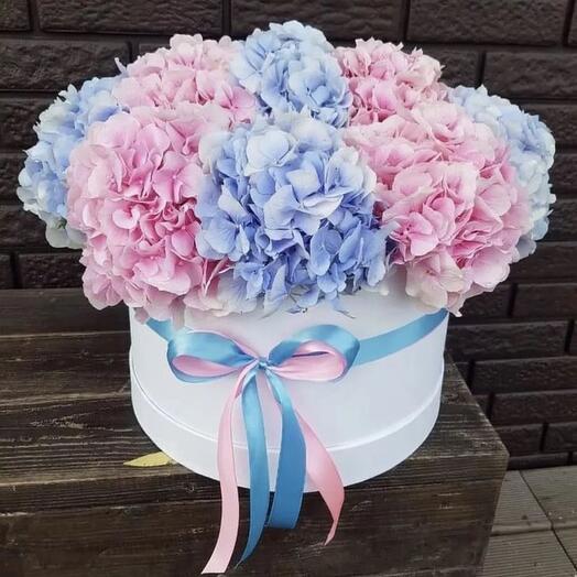 9 гортензий -1262