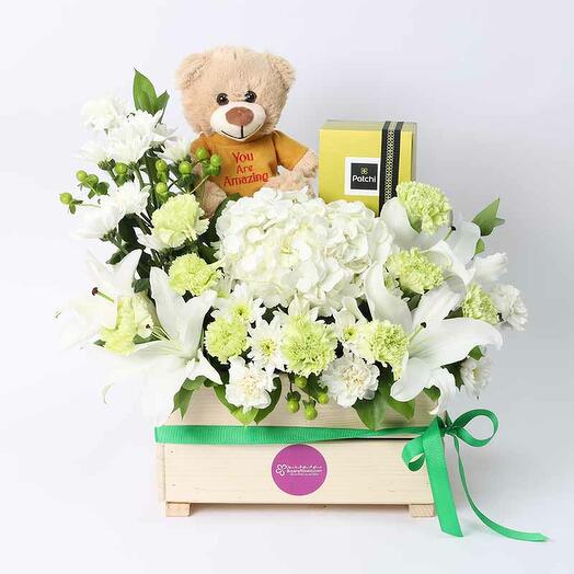 Peaceful Blessings Patchi And Teddy Bear