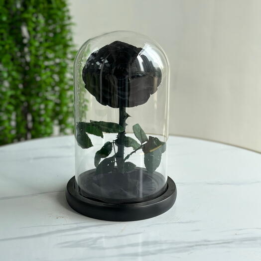 Forever Rose Black (preserved rose)