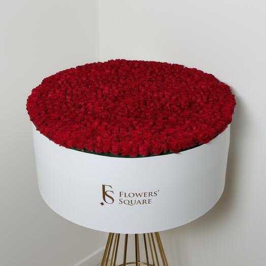 550 кустовых роз в коробке красные