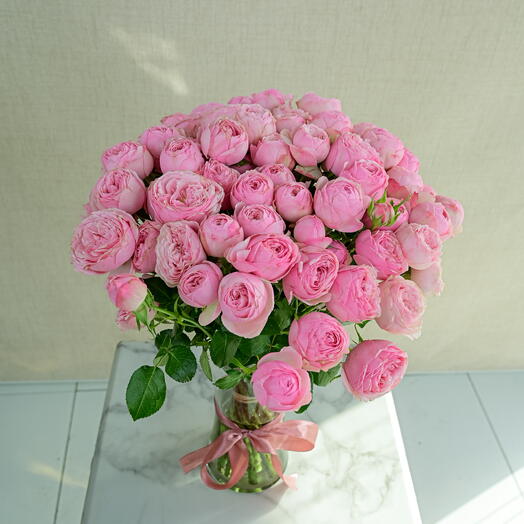 15 Mansfield Grace-1682