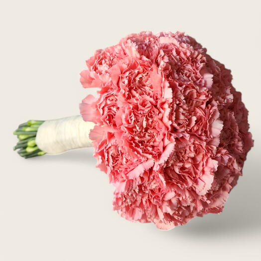 Blushing Carnation Cloud