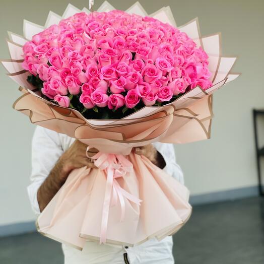 Renacimiento rosa 101